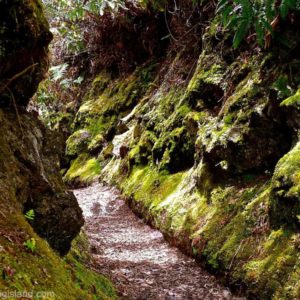 Halema'uma'u trail in the Hawaii Volcanoes National Park