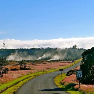 Steam vents in the Hawaii Volcanoes National Park