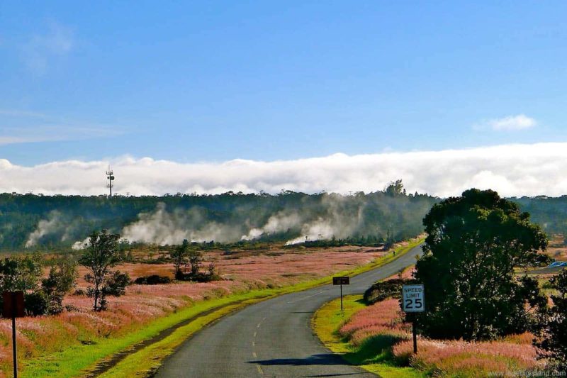 Steam vents in the Hawaii Volcanoes National Park
