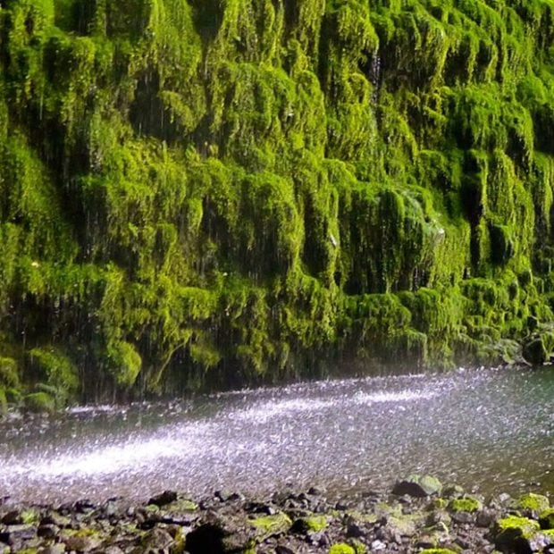 Waterfalls!