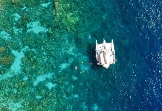 Afternoon Sail & Snorkel at Kealakekua Bay