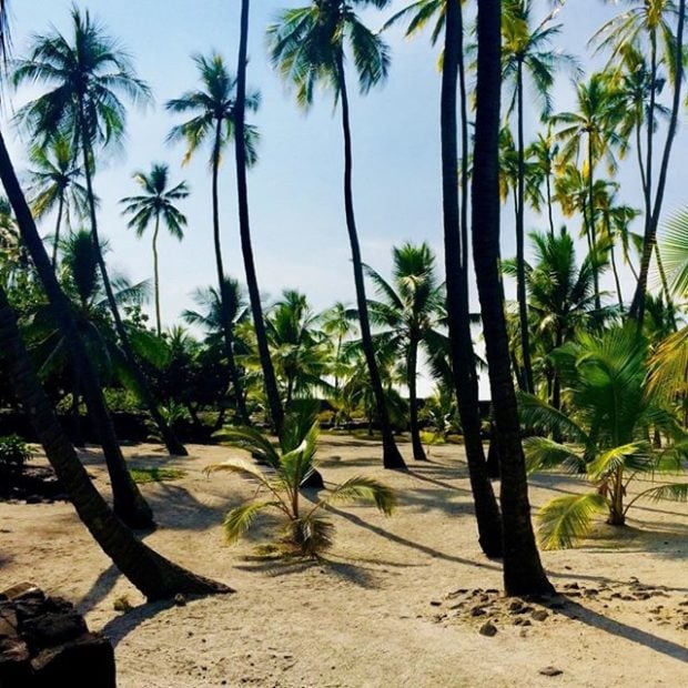 Pu’uhonua o Hōnaunau