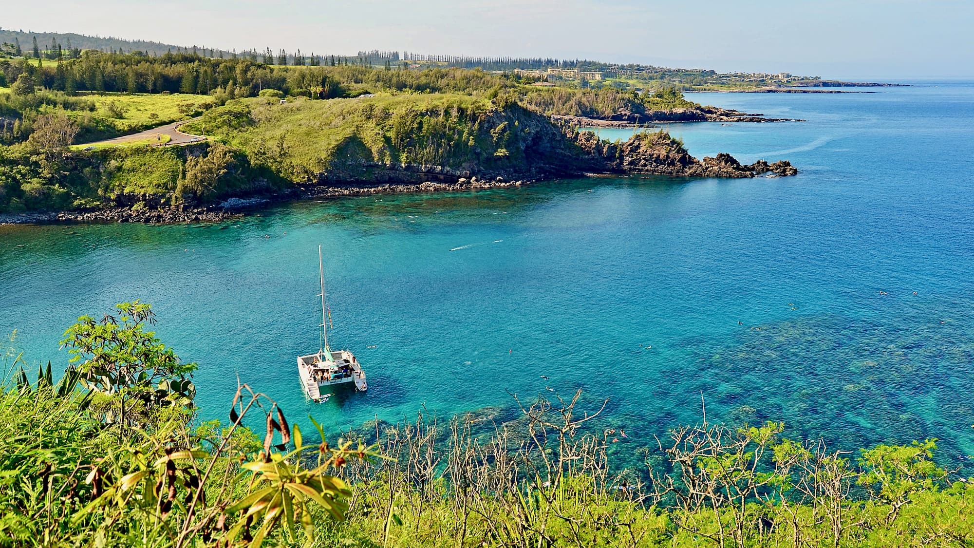 Our 10 favorite Maui Snorkeling Spots