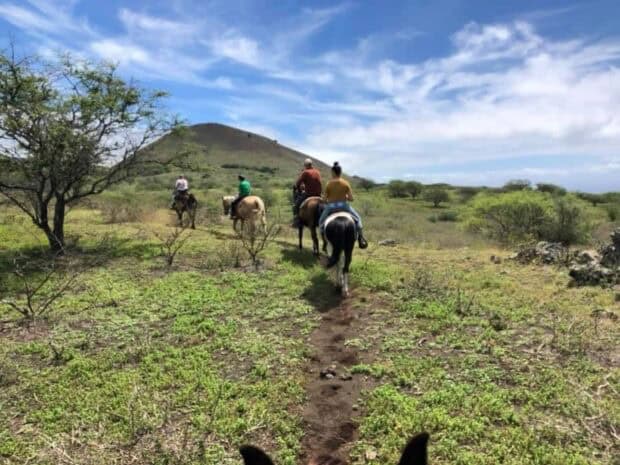Rider's-eye view between a horse's ears of a group riding across green pasture toward a cinder cone, Triple L Ranch