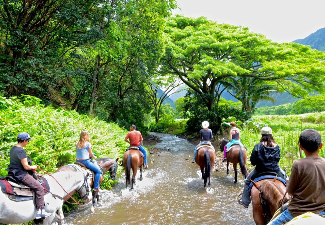 big island horse tour