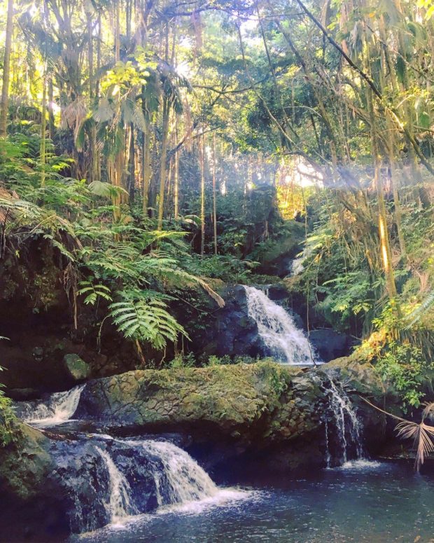Hawaii Tropical Botanical Gardens