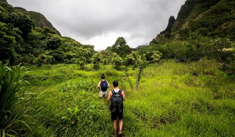 Big Island or Maui, which is better?