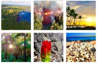 instagram, follow, love big island