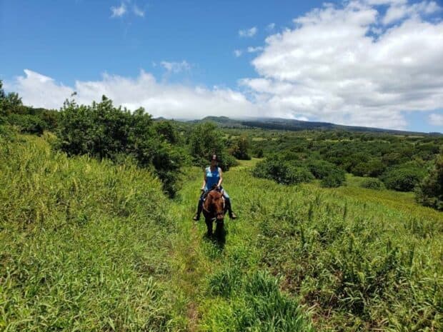 Rider on a brown horse in tall grass with the West Maui Mountains behind, Ironwood Ranch