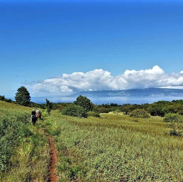 Riders single file on a dirt trail through grass fields above the ocean at Ironwood Ranch, a neighbor island under clouds