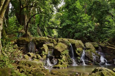 Hawaiʻi Waterfalls You Can Swim In: 10 Best, All Islands