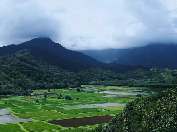 the Hanalei National Wildlife Refuge