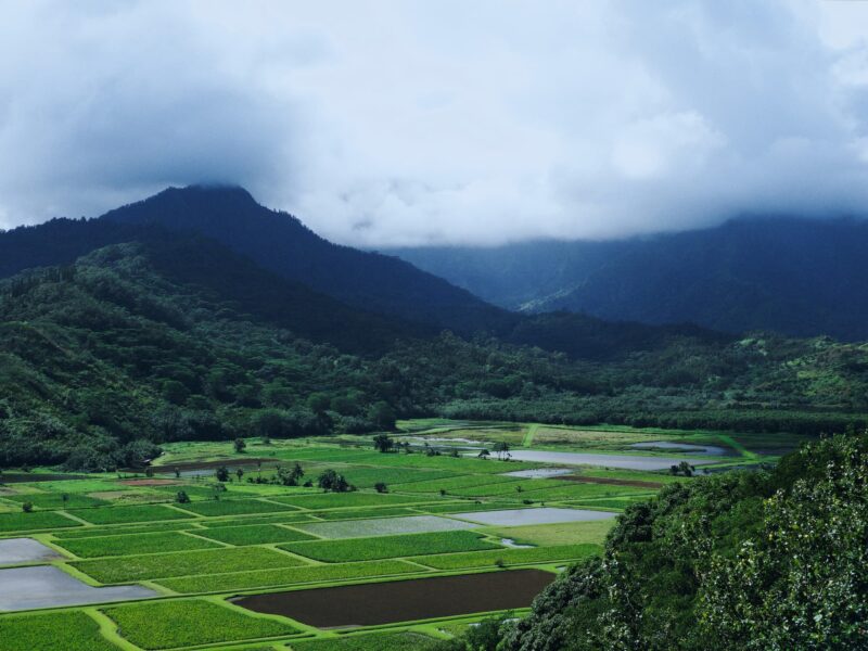 the Hanalei National Wildlife Refuge