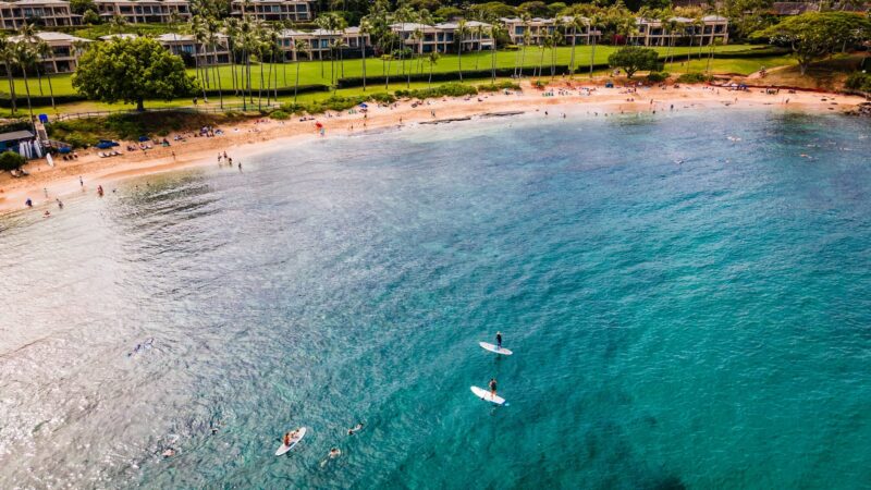 Paddleboarders in front of a Maui beach