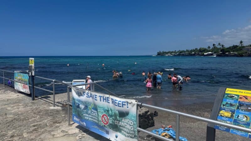 Snorkelers wading into Kahaluʻu Bay at the railed entry, past a Help Save the Reef banner asking swimmers to float
