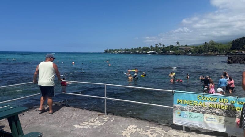 Snorkelers in Kahaluʻu Bay seen from the seawall, with a banner asking visitors to cover up or use mineral sunscreen
