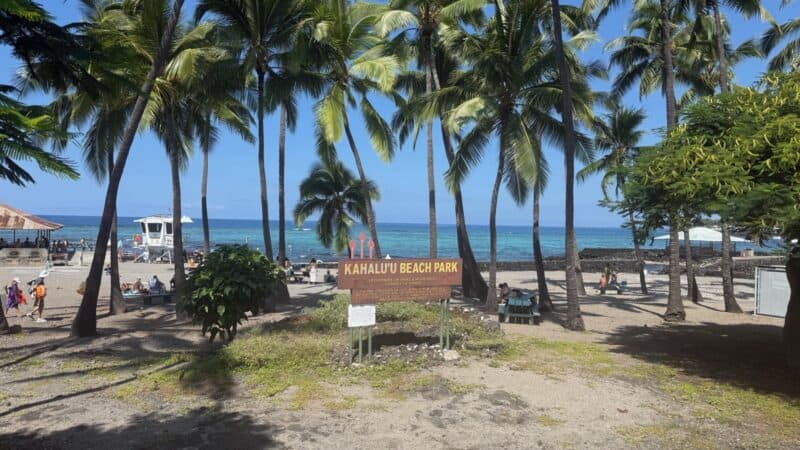 Kahaluʻu Beach Park sign framed by palm trees, with the lifeguard tower, picnic tables and turquoise bay behind