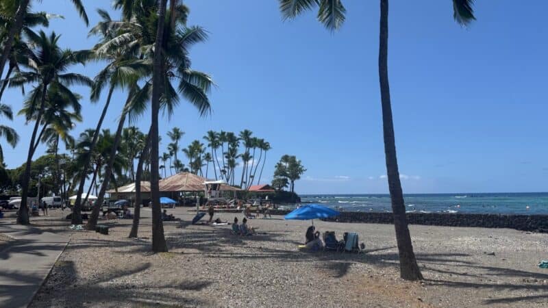 Palm-shaded sand at Kahaluʻu Beach Park with a blue umbrella, beachgoers and the pavilions along the shore