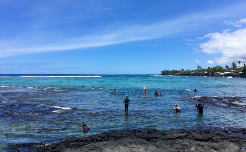 people snorkeling at Kahalu'u bay