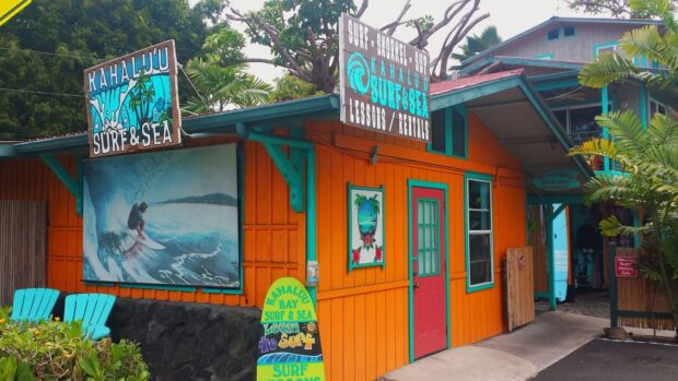 surf shack Kahaluʻu Bay Surf and Sea