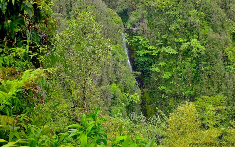 Kahuna falls in the ʻAkaka falls state park on the Big Island