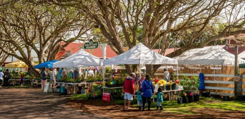 The Kamuela Farmers market is opened every saturday between 0900 and noon. Find them at the historic Pukalani Stables. Image courtesy of the Kamuela Farmers Market.