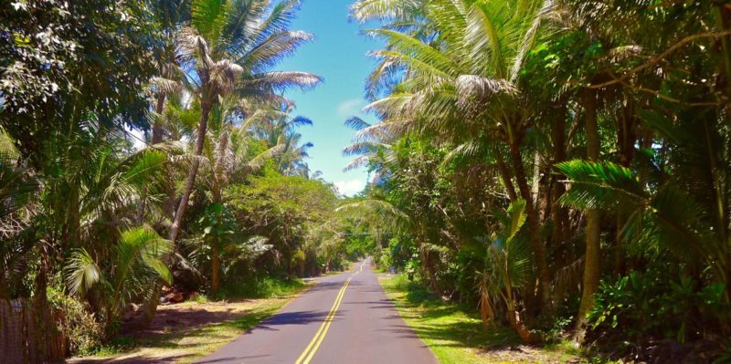 Kapoho Kalapana road in the Puna district