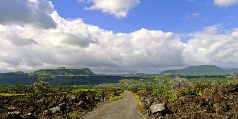 kau, scenic drive, big island, plantation road, hawaii