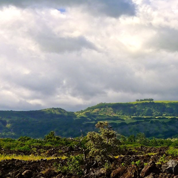 Ka’u District