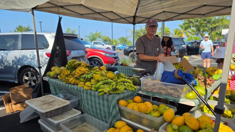 Farmer at a Keauhou Farmers Market stand stacked with apple bananas, papaya, and citrus