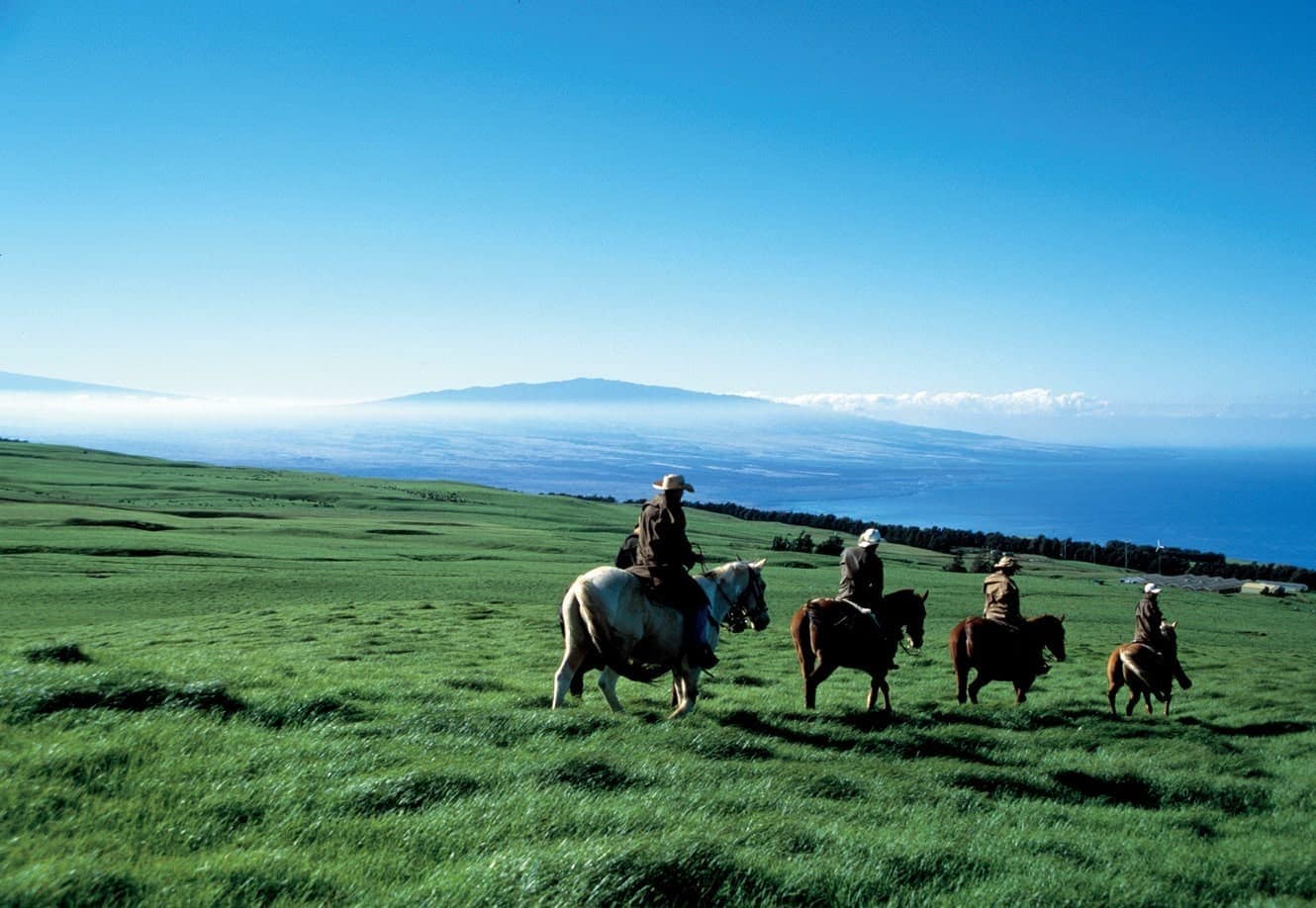 Kohala and the Coast: a Guide