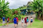 A Kona Coffee Farm Tour at the Greenwell farm