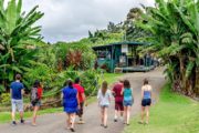 A Kona Coffee Farm Tour at the Greenwell farm