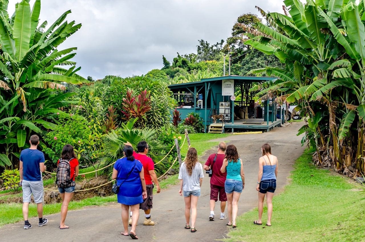 BIG LIST of Kona Coffee Tours on the Big Island