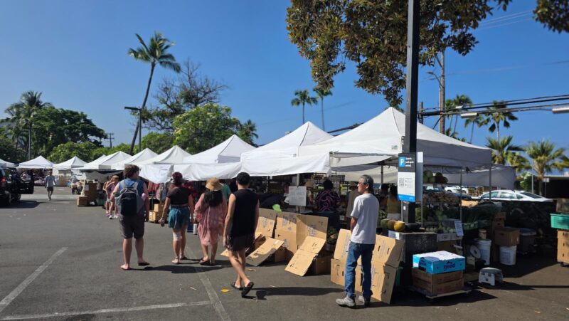 White vendor tents, palm trees, and shoppers at the Kona Farmers Market in Kailua-Kona