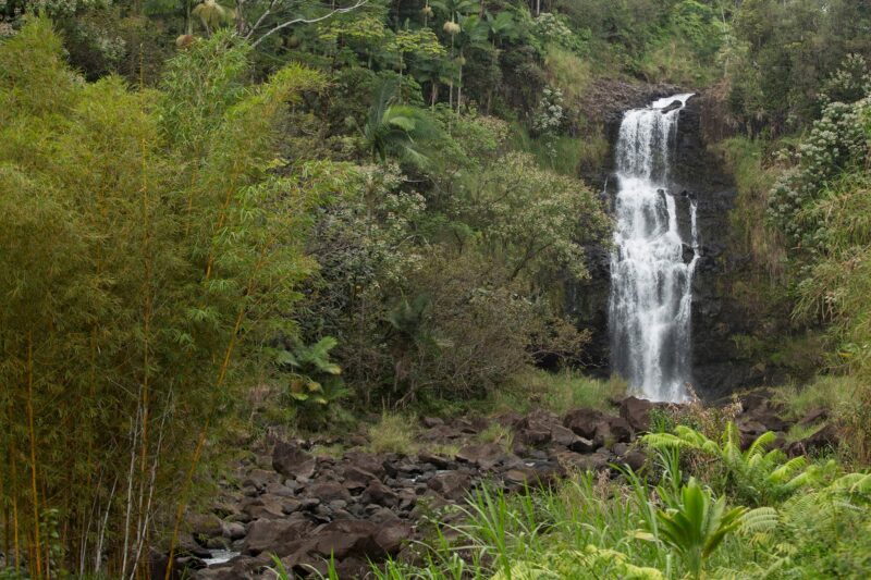 View of the 120-ft Kulaniapia waterfall from the bamboo garden.