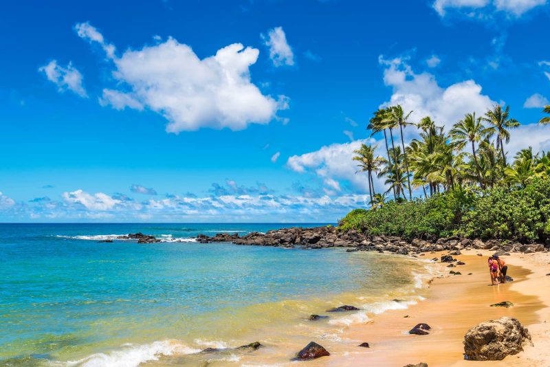 Laniakea Beach on Oʻahu