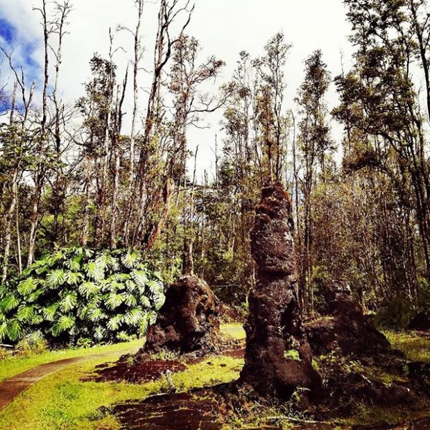 Lava Tree State Park