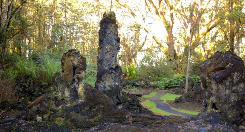 lava tree, lava mold, lava tree state park