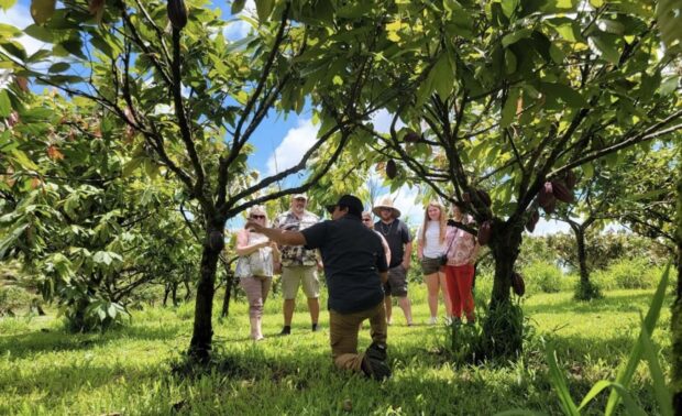 Tour guide explaining cacao cultivation to a small group of visitors in the orchard at Lavaloha Chocolate Farm, Hilo