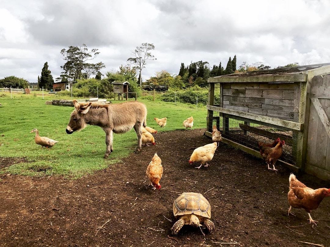 farm tours big island