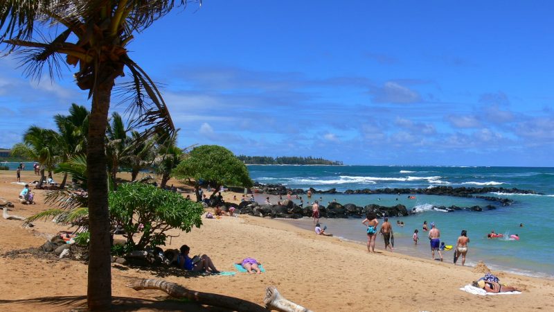 Lydgate beach during daytime