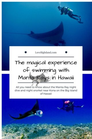 manta ray, night dive, night snorkel, big island, kona, hawaii