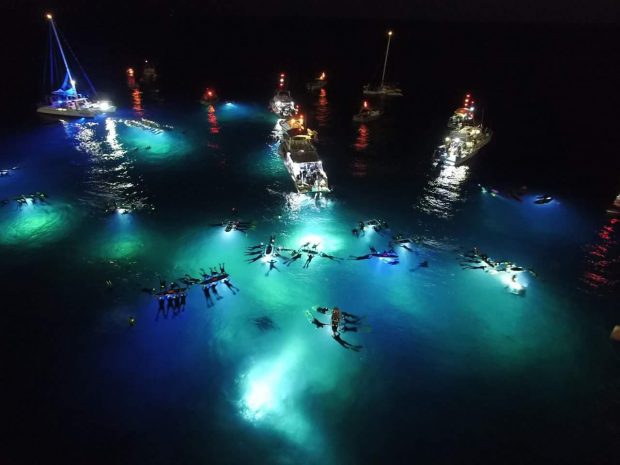 birds-eye view of the manta ray night snorkel