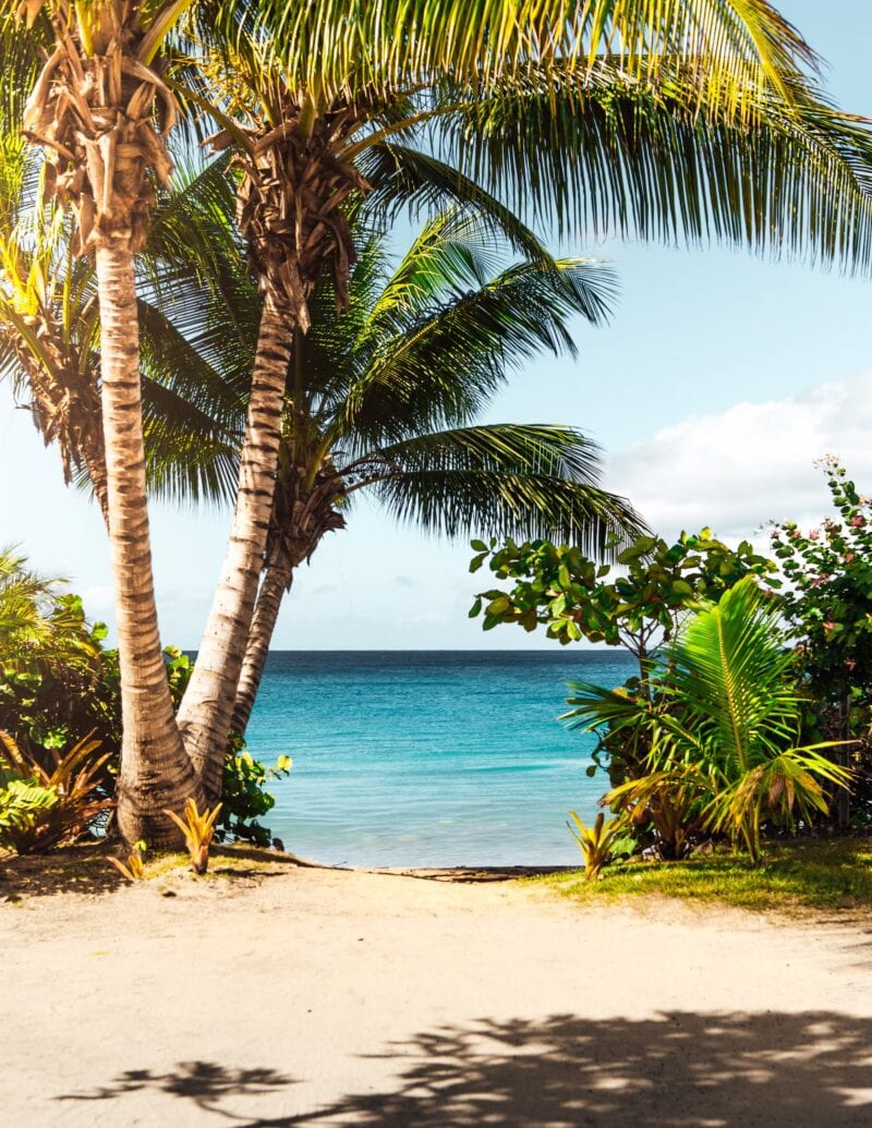 beach entrance on hawaii