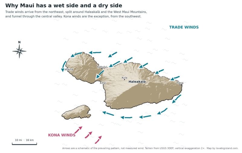 Schematic 3D relief map of Maui: trade winds arriving from the northeast split around Haleakalā and the West Maui Mountains and funnel through the central valley, with kona winds from the southwest.