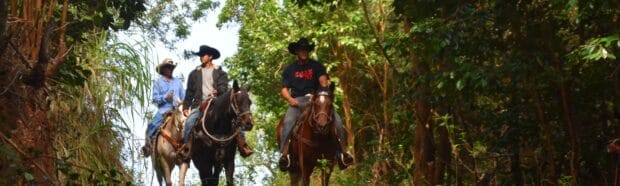 Three riders in cowboy hats on a shaded forest trail, Maui Mountain Activities horseback ride