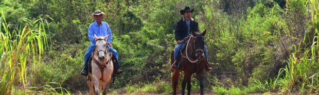 Two riders in cowboy hats on light gray and dark brown horses on a dirt track through tall grass, Maui horseback ride