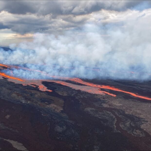 Mauna Loa lava flows in the Northeast rift zone