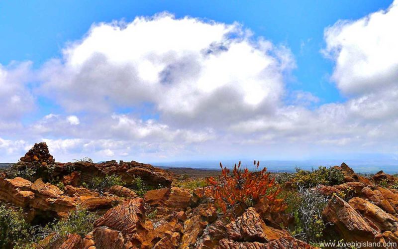 Mauna Loa from Volcano Village